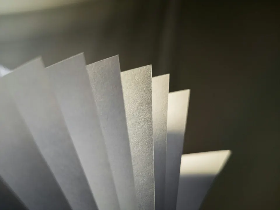 Sheets of paper fanned out in soft light